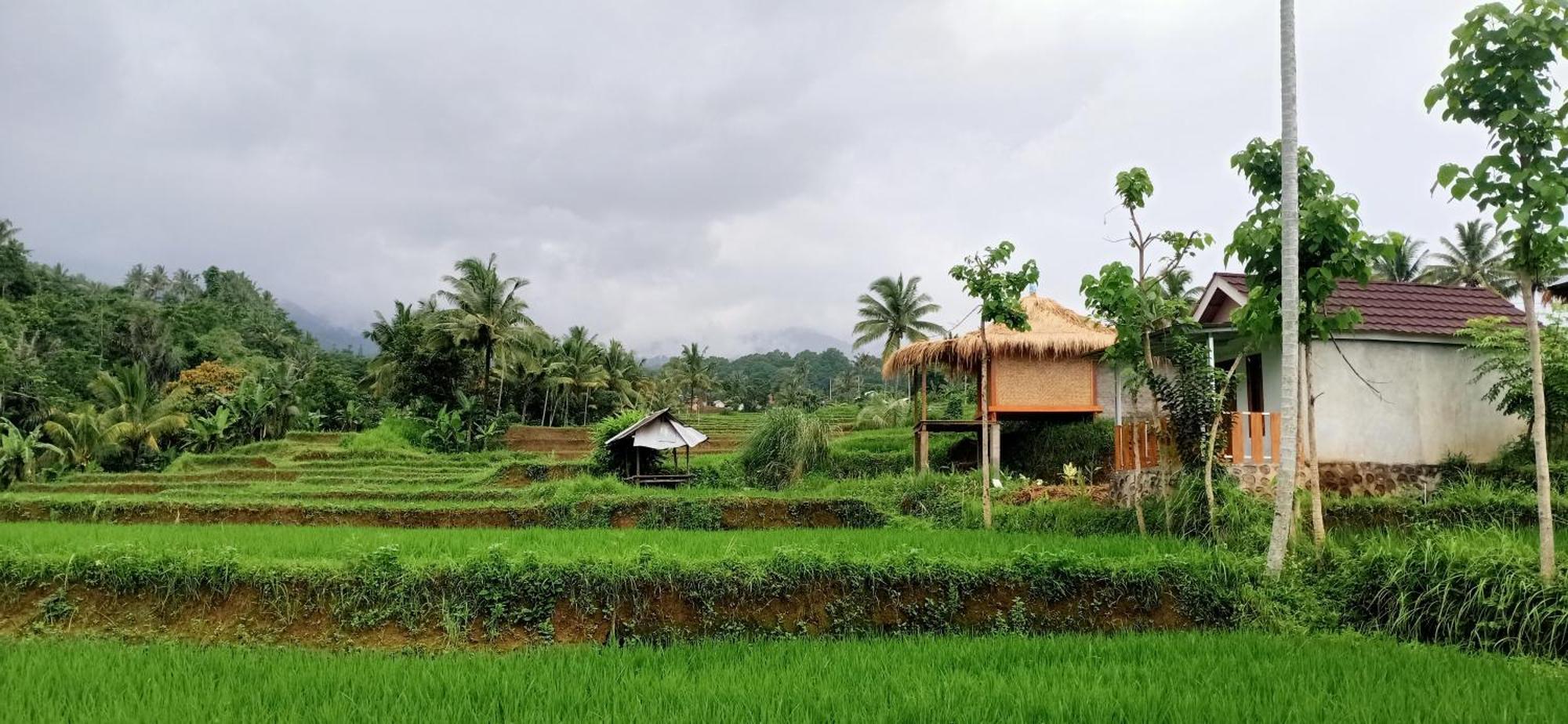 Bayan Exotic Homestay Senaru Exterior photo
